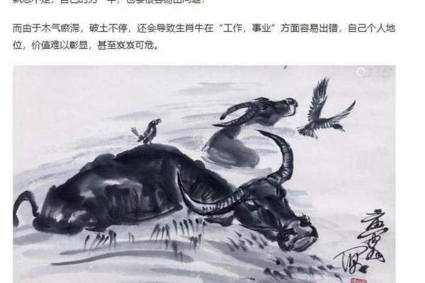 74属牛的命理解析:从生肖看人生机遇与挑战 74属牛的命理解析:从生肖看人生机遇与挑战