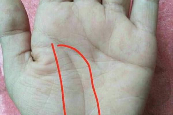 手臂粗的人是什么命？解密你命运的秘密!