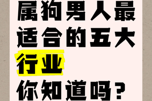 82属狗人的命运与性格解读：热忱与忠诚的结合