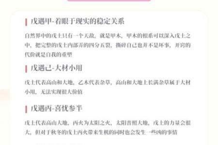 98年土命生人：五行中的坚韧与灵动之美