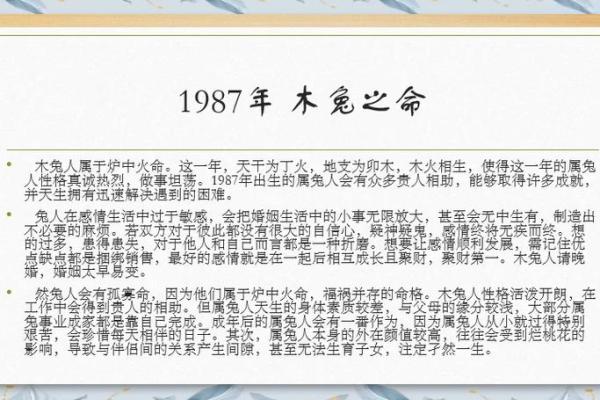 属兔人的命运：哪些因素会影响他们的生活与事业？