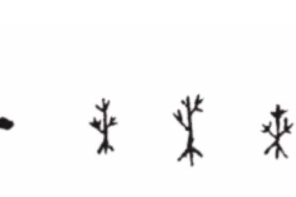 桑枯木命的颜色禁忌与星相启示:了解命理,选择合适的颜色! 桑枯木命的颜色禁忌与星相启示:了解命理,选择合适的颜色!