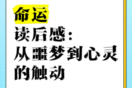 如何优雅回应女生关于命运的问题：一场心灵的对话