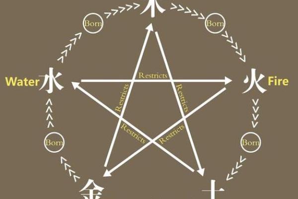 水命与土命之人适合做什么职业？探索天赋与命理的结合