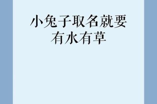 水兔命与五行相生的相辅相成