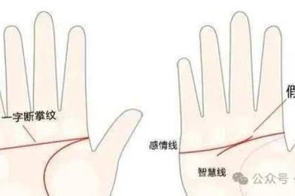 女人断掌的命理解析：揭开命运之神的面纱