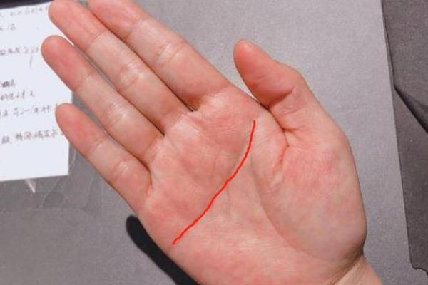 女人断掌的命理解析：揭开命运之神的面纱