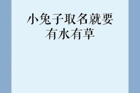 水兔命与五行相生的相辅相成