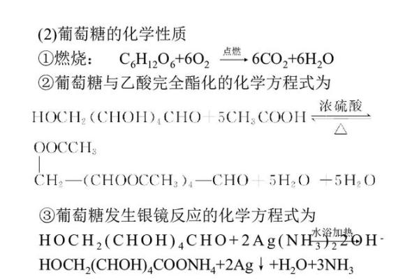 水中土命的秘密:生命与元素的和谐之道 水中土命的秘密:生命与元素的和谐之道