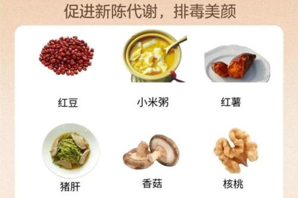 女性体质与饮食:命母的神奇功效有多大? 女性体质与饮食:命母的神奇功效有多大?