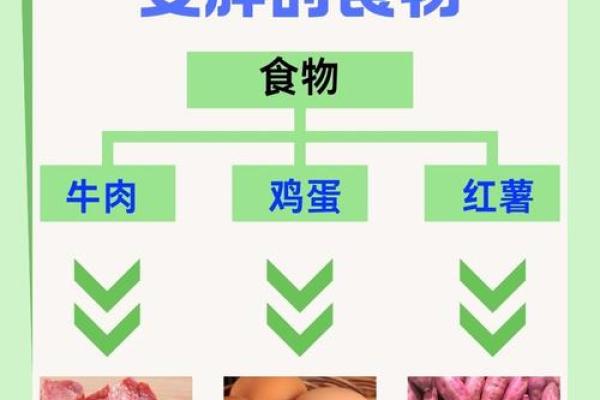 女性体质与饮食:命母的神奇功效有多大? 女性体质与饮食:命母的神奇功效有多大?