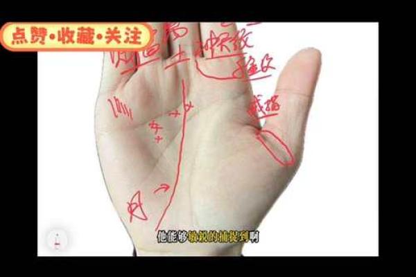 手掌肥厚手指粗短者的命运解析与人生启示