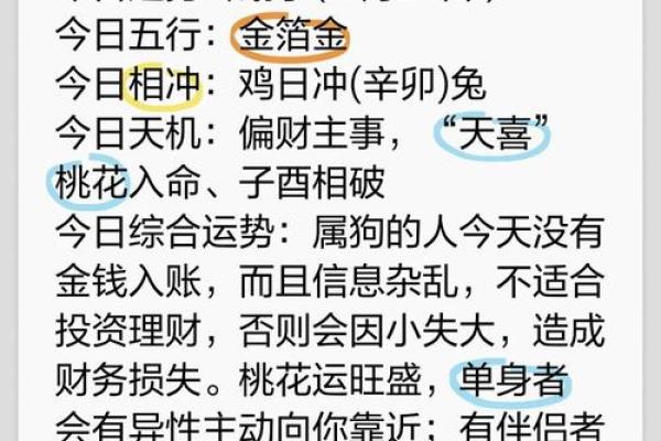 属狗的人命好年运如何提升 深度分析与建议