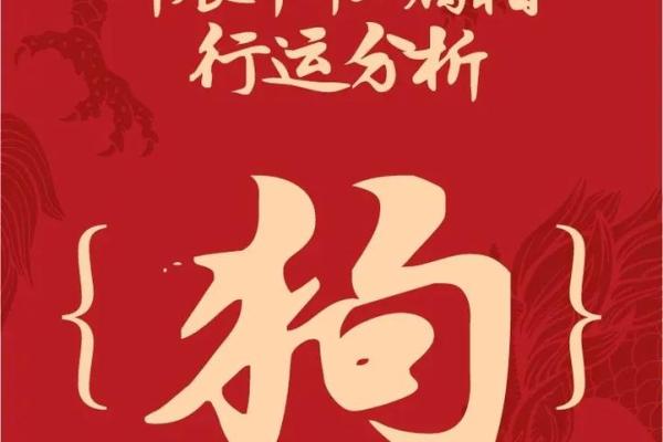 属狗的人命好年运如何提升 深度分析与建议