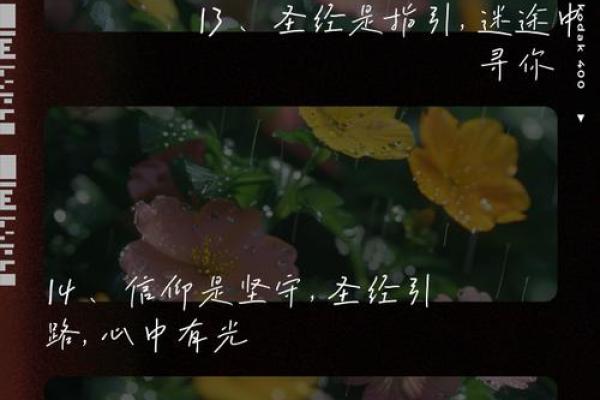 上帝会给自己什么命：信仰与人生的奇妙旅程