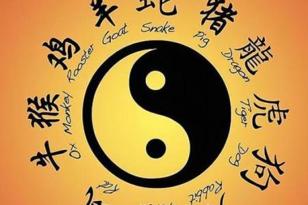 沙中土命：探索命运的纹理与图案之美