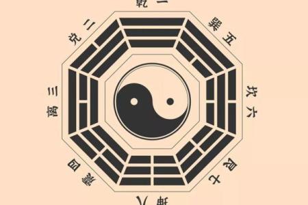 三命草神的奥秘：如何透过四命寻求更完美的命理补救