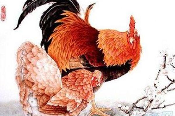 1945年属鸡人的命运和人生特点分析