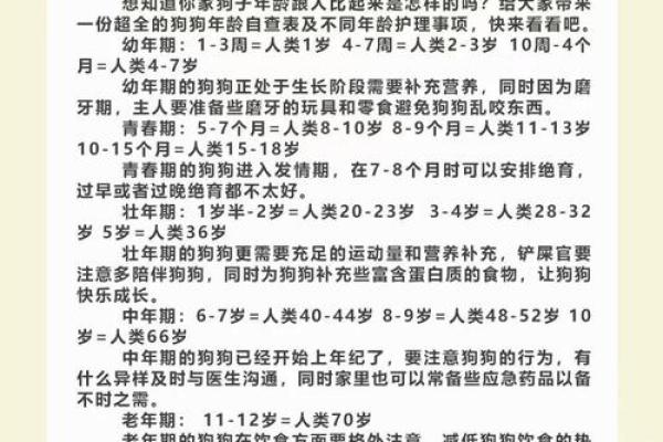 探秘1994年狗年的命运与性格特征 探秘1994年狗年的命运与性格特征