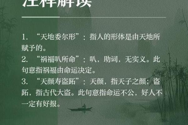 1999年:庚寅年与命运之探索,解读人生的指引 1999年:庚寅年与命运之探索,解读人生的指引