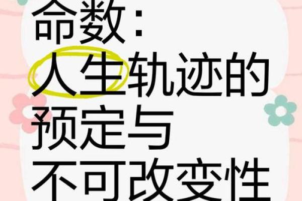 探秘命理:命局解读与人生轨迹的奥秘 探秘命理:命局解读与人生轨迹的奥秘
