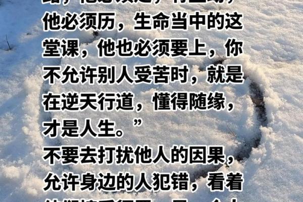 轻贱之命：探索命格的奥秘与人生选择之路