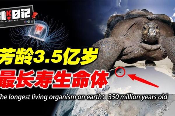 世上动物中，谁的寿命最短？揭开生命的脆弱与珍贵