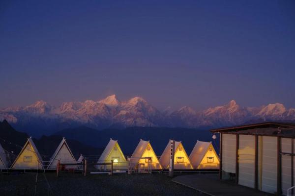 12月12日出生的人：星辰下的命运与个性之旅