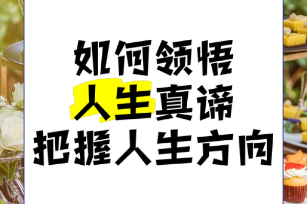 手心手背有肉,命运的真谛解析与人生哲学探讨 手心手背有肉,命运的真谛解析与人生哲学探讨