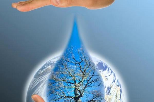 手心手背有肉,命运的真谛解析与人生哲学探讨 手心手背有肉,命运的真谛解析与人生哲学探讨