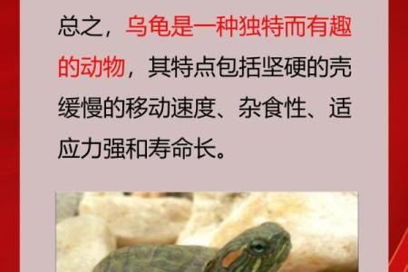 世上动物中，谁的寿命最短？揭开生命的脆弱与珍贵