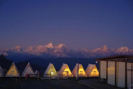 12月12日出生的人：星辰下的命运与个性之旅