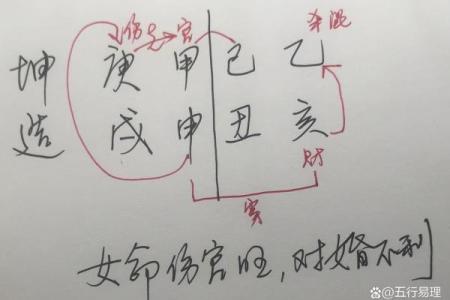 伤官男命格与女命婚姻的深刻解析