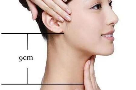 探究女人脖子粗的命理象征：你不知道的命运秘密