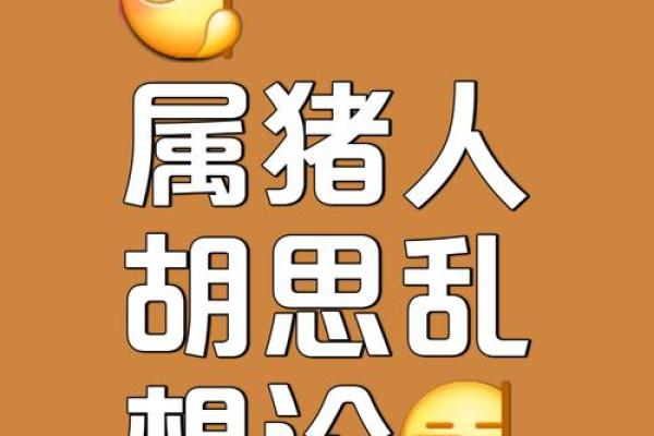 2007年女属猪的命运解析与人生建议 2007年女属猪的命运解析与人生建议