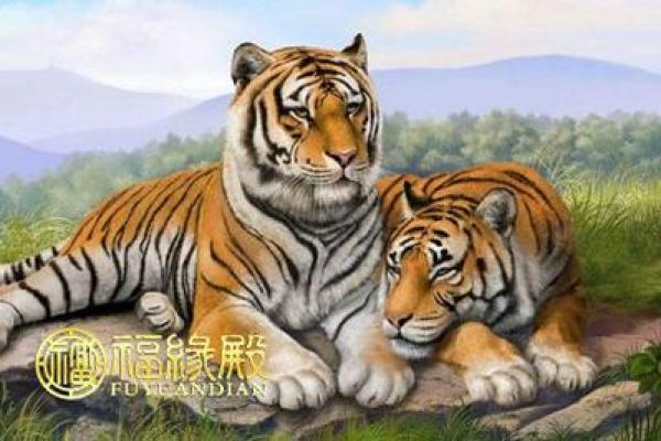 什么动物属富贵命的人：发现你身边的幸运动物！