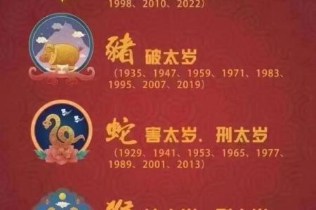 属相与老年命：男人的幸福秘诀透析