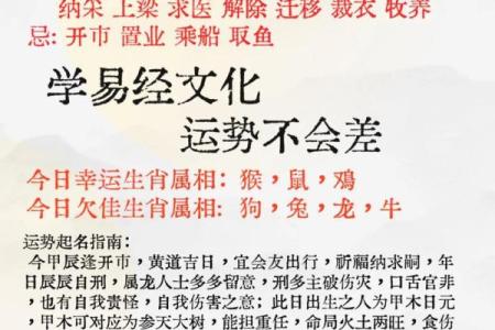 属龙大林木命与最佳命理搭配分析