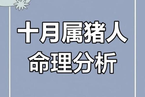 属猪男性26岁命运解析：不断求索与自我成长的旅程