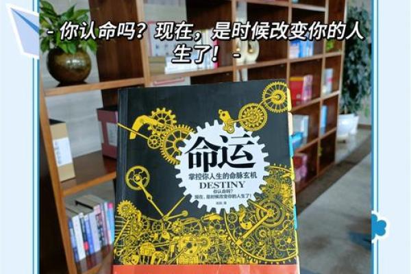 适合用名字看命的人：揭示你命运的秘密与智慧