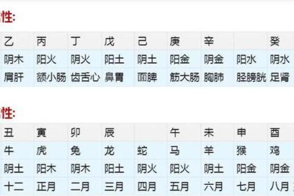 生辰命格解析:如何根据出生时辰了解女孩的性格与命运 生辰命格解析:如何根据出生时辰了解女孩的性格与命运