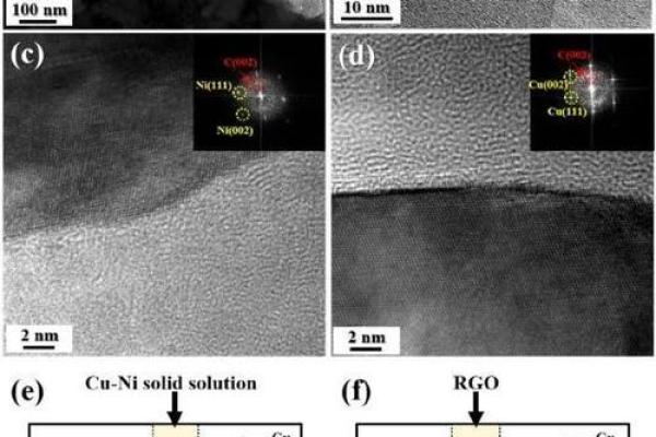 水底木命：探寻人生的深邃与韧性