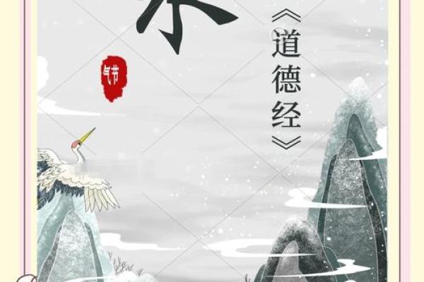 一九九六年水命之人:探寻水的智慧与力量 一九九六年水命之人:探寻水的智慧与力量