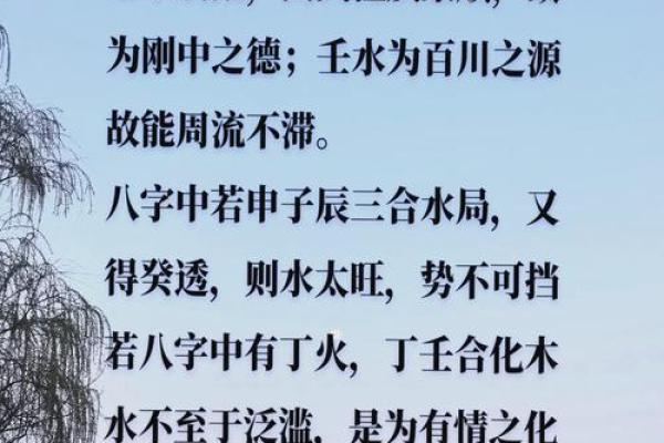 一九九六年水命之人:探寻水的智慧与力量 一九九六年水命之人:探寻水的智慧与力量