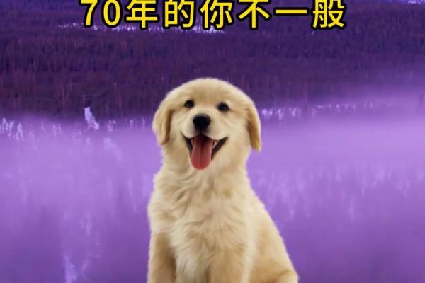 1958年狗年出生的人，命运与性格探秘