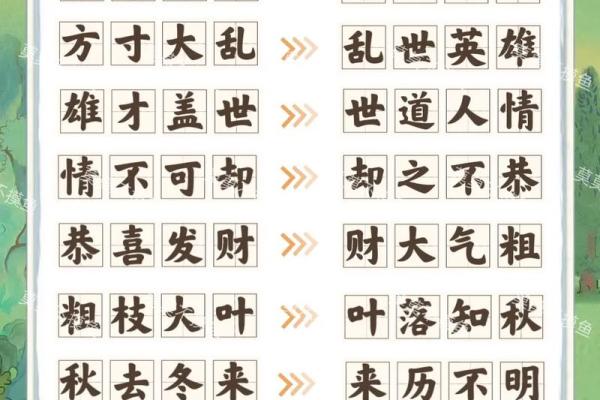 神奇成语接龙：揭开名字背后的奥秘与舍得智慧