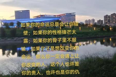 197年出生的命理解读：解密你的命运与性格特征