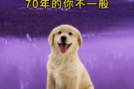 1958年狗年出生的人，命运与性格探秘