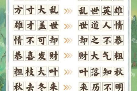 神奇成语接龙：揭开名字背后的奥秘与舍得智慧