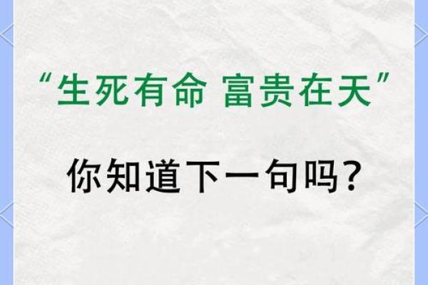 什么才是富贵命的人：人生的真正财富与幸福